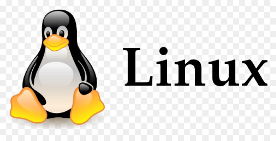 Linux Shell Command Cheatsheet for Web Developers